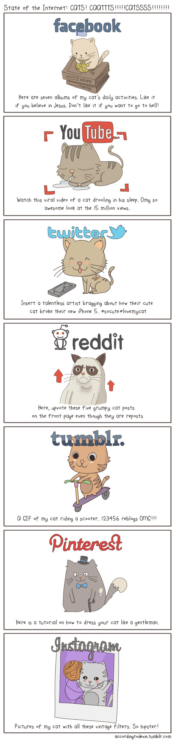 What Social Media networks would look like cats